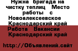 Нужна  бригада на чистку теплиц › Место работы ­ с Новоалексеевское  - Краснодарский край Работа » Вакансии   . Краснодарский край